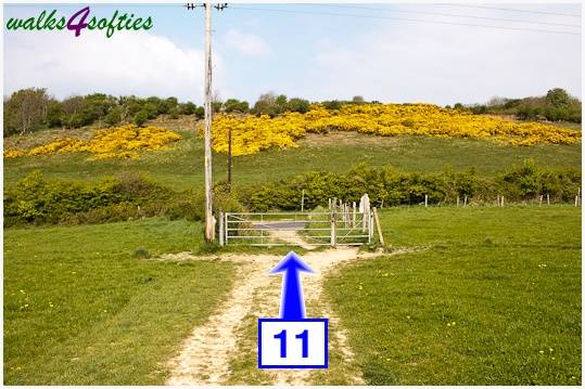 Walking direction photo: 11 for walk The Obelisk and Agglestone Rock, Studland, Dorset.