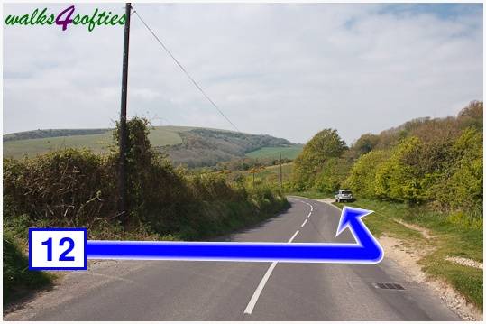 Walk direction photograph: 12 for walk The Obelisk and Agglestone Rock, Studland, Dorset, South West England.