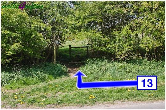 Walking direction photo: 13 for walk The Obelisk and Agglestone Rock, Studland, Dorset.