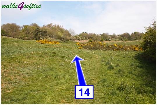 Walk direction photograph: 14 for walk The Obelisk and Agglestone Rock, Studland, Dorset, South West England.