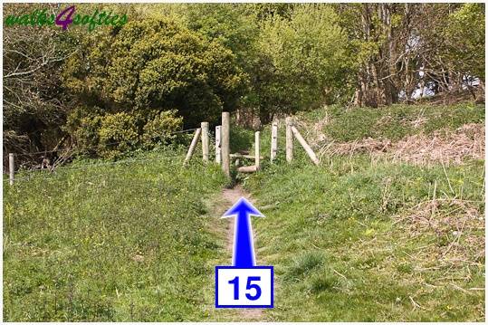 Walking direction photo: 15 for walk The Obelisk and Agglestone Rock, Studland, Dorset.