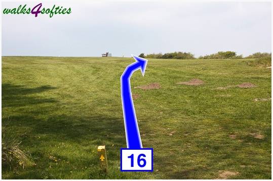 Walk direction photograph: 16 for walk The Obelisk and Agglestone Rock, Studland, Dorset, South West England.