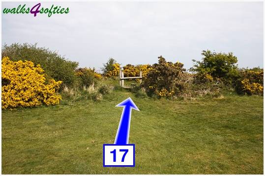 Walking direction photo: 17 for walk The Obelisk and Agglestone Rock, Studland, Dorset.