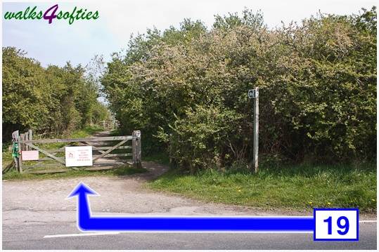 Walking direction photo: 19 for walk The Obelisk and Agglestone Rock, Studland, Dorset.