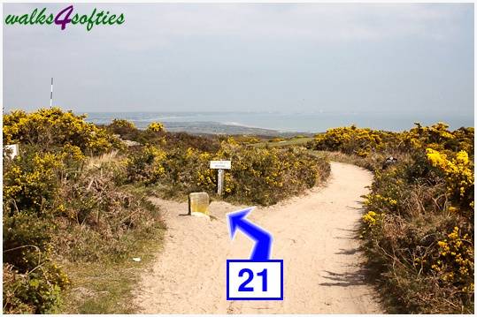Walking direction photo: 21 for walk The Obelisk and Agglestone Rock, Studland, Dorset.