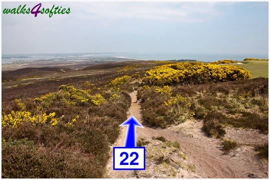 Walk direction photograph: 22 for walk The Obelisk and Agglestone Rock, Studland, Dorset, South West England.