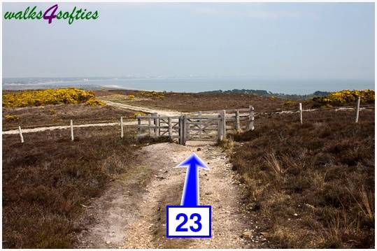 Walking direction photo: 23 for walk The Obelisk and Agglestone Rock, Studland, Dorset.