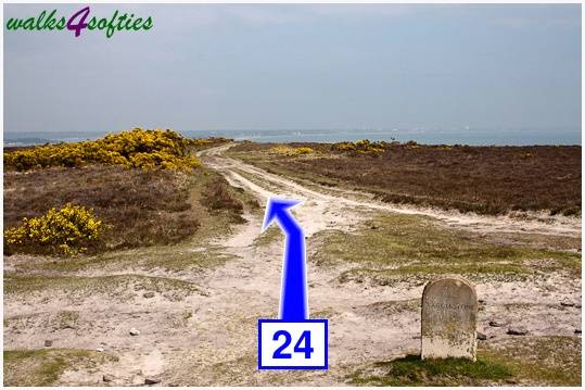 Walk direction photograph: 24 for walk The Obelisk and Agglestone Rock, Studland, Dorset, South West England.