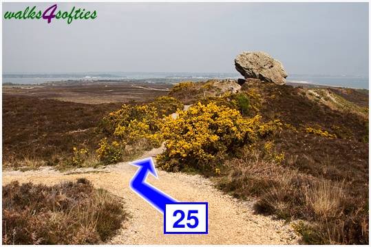 Walking direction photo: 25 for walk The Obelisk and Agglestone Rock, Studland, Dorset.