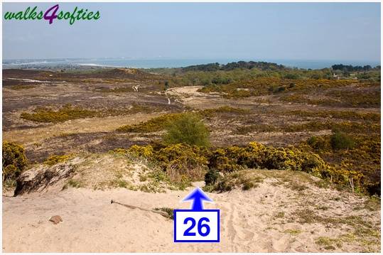 Walk direction photograph: 26 for walk The Obelisk and Agglestone Rock, Studland, Dorset, South West England.