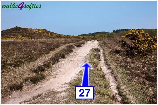 Walking direction photo: 27 for walk The Obelisk and Agglestone Rock, Studland, Dorset.