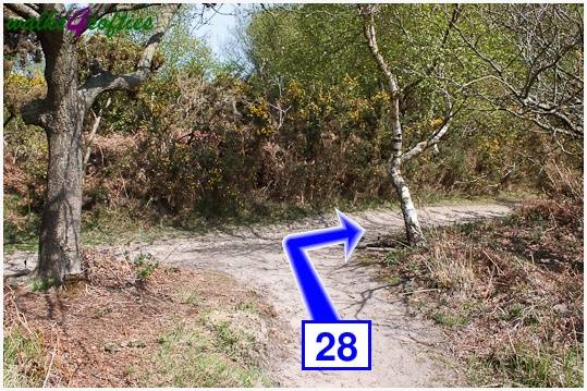 Walk direction photograph: 28 for walk The Obelisk and Agglestone Rock, Studland, Dorset, South West England.