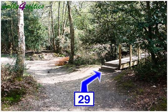 Walking direction photo: 29 for walk The Obelisk and Agglestone Rock, Studland, Dorset.