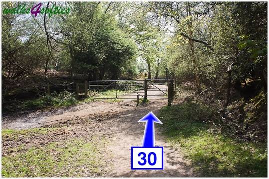Walk direction photograph: 30 for walk The Obelisk and Agglestone Rock, Studland, Dorset, South West England.
