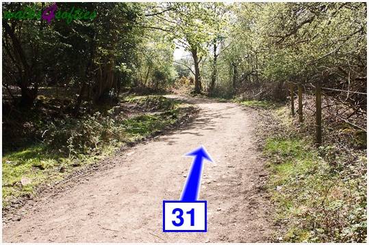 Walking direction photo: 31 for walk The Obelisk and Agglestone Rock, Studland, Dorset.