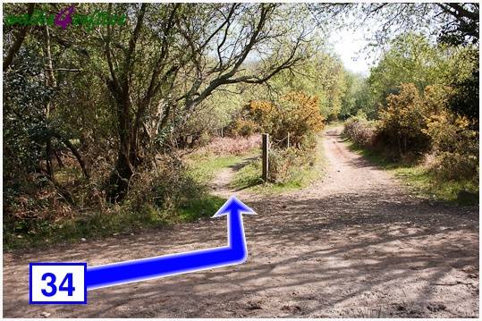 Walk direction photograph: 34 for walk The Obelisk and Agglestone Rock, Studland, Dorset, South West England.