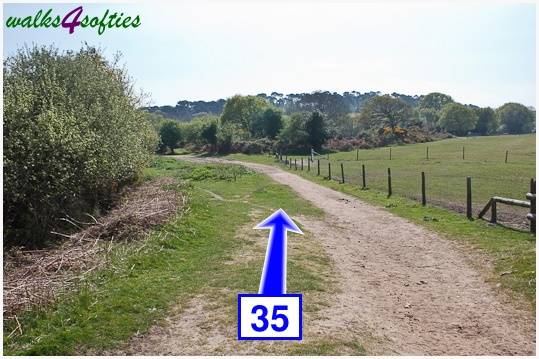 Walking direction photo: 35 for walk The Obelisk and Agglestone Rock, Studland, Dorset.