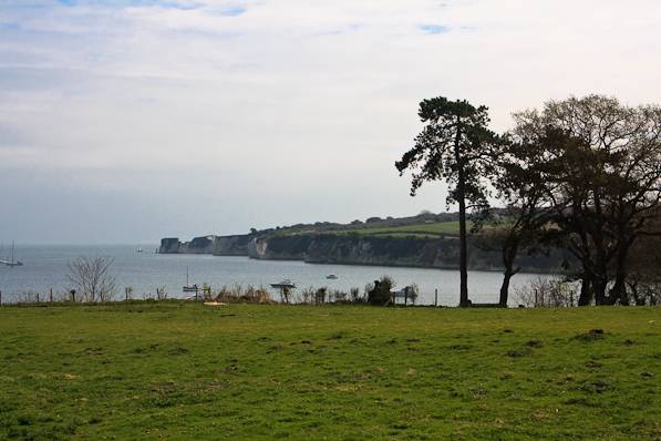 Picture, Photo, View of Studland, Dorset