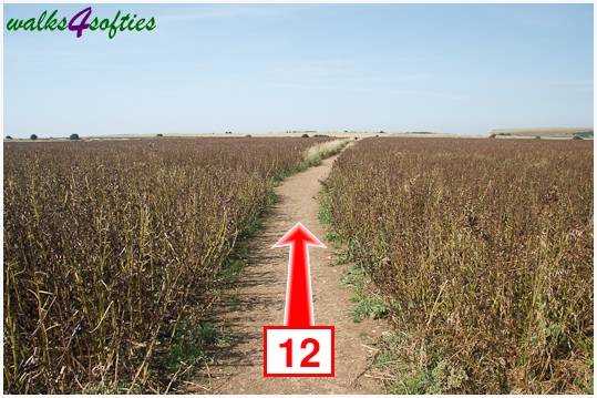 Walk direction photograph: 12 for walk Chapman's Pool, Worth Matravers, Dorset, South West England.