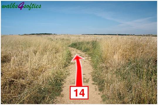 Walk direction photograph: 14 for walk Chapman's Pool, Worth Matravers, Dorset, South West England.