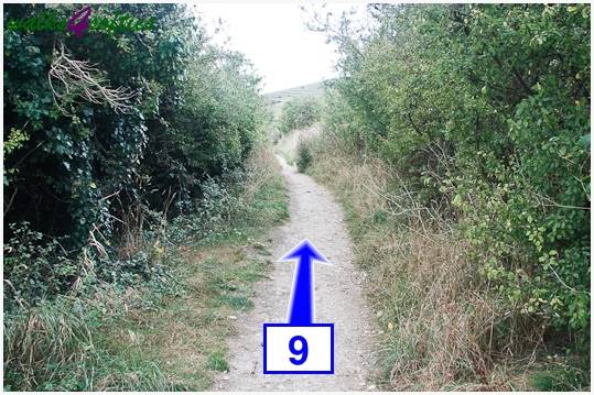 Walking direction photo: 9 for walk Winspit to Seacombe, Worth Matravers, Dorset.