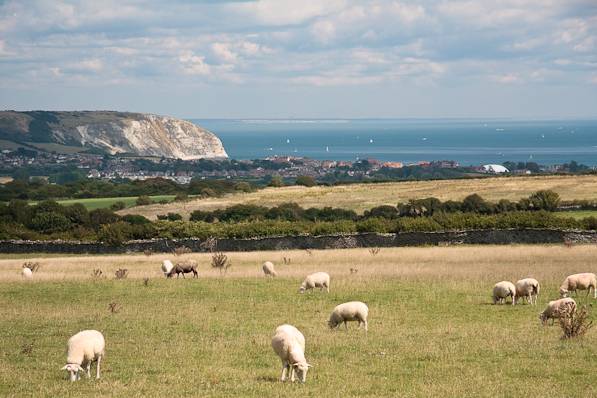 Picture, Photo, View of Worth Matravers, Dorset