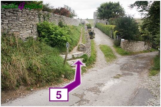 Walking direction photo: 5 for walk Dancing Ledge, Worth Matravers, Dorset.