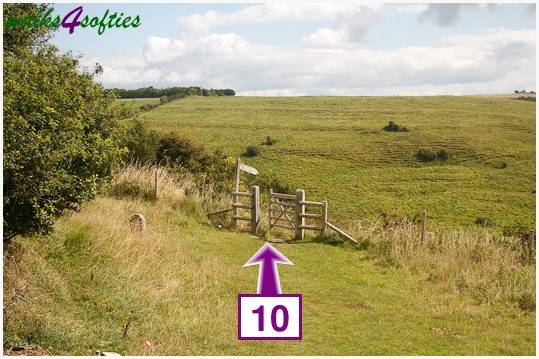 Walk direction photograph: 10 for walk Dancing Ledge, Worth Matravers, Dorset, South West England.