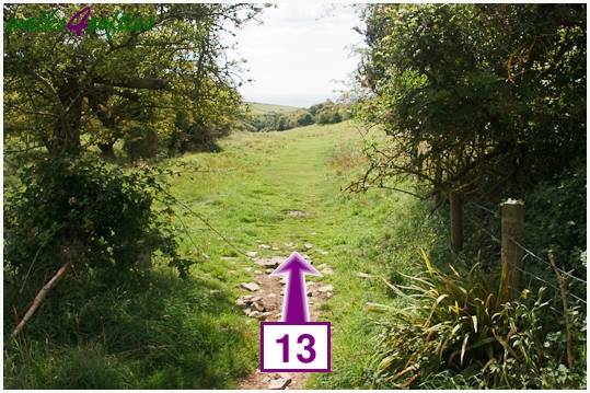 Walking direction photo: 13 for walk Dancing Ledge, Worth Matravers, Dorset.