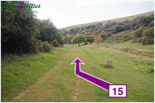 Walking direction photo: 15 for walk Dancing Ledge, Worth Matravers, Dorset.