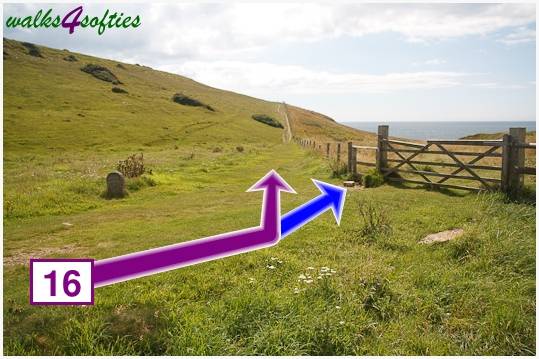 Walk direction photograph: 16 for walk Dancing Ledge, Worth Matravers, Dorset, South West England.