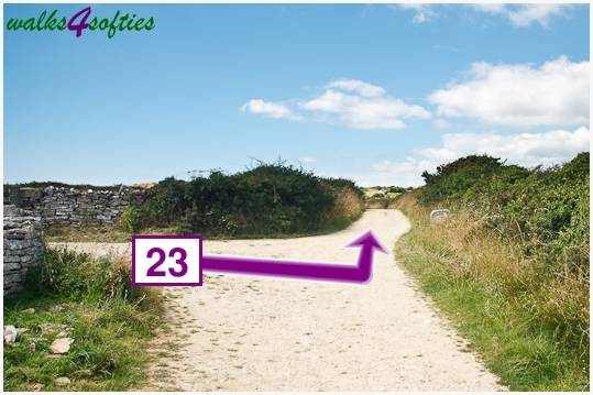 Walking direction photo: 23 for walk Dancing Ledge, Worth Matravers, Dorset.