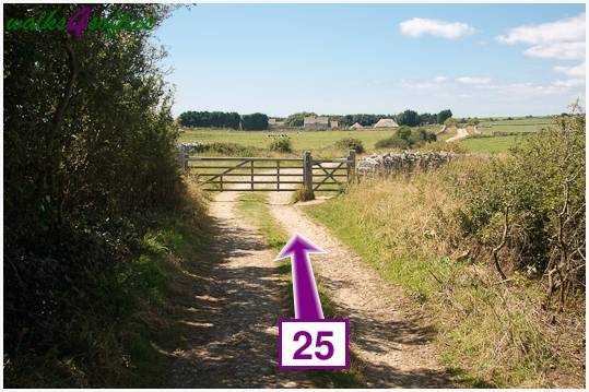 Walking direction photo: 25 for walk Dancing Ledge, Worth Matravers, Dorset.