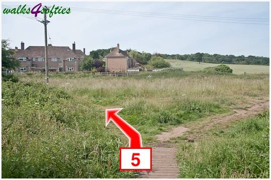 Walking direction photo: 5 for walk Turners Puddle and Kite Hill, Bere Regis, Dorset.