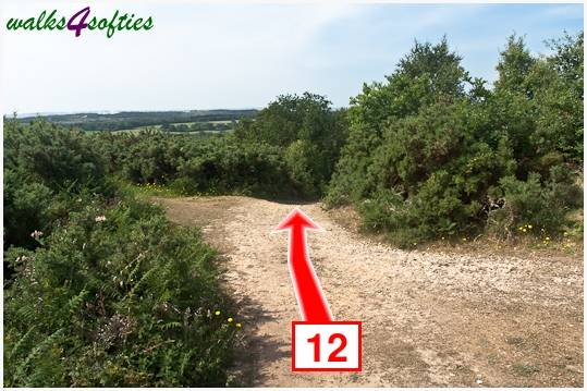 Walk direction photograph: 12 for walk Turners Puddle and Kite Hill, Bere Regis, Dorset, South West England.