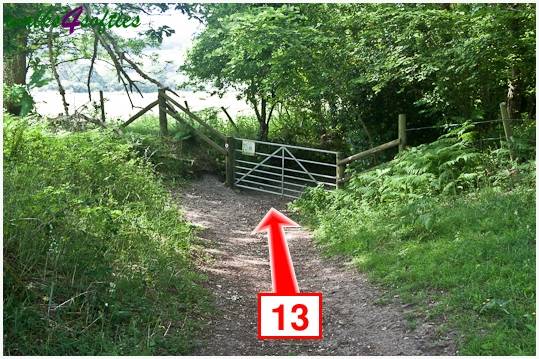 Walking direction photo: 13 for walk Turners Puddle and Kite Hill, Bere Regis, Dorset.