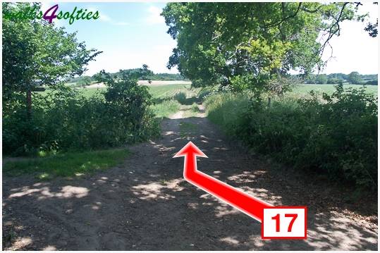 Walking direction photo: 17 for walk Turners Puddle and Kite Hill, Bere Regis, Dorset.