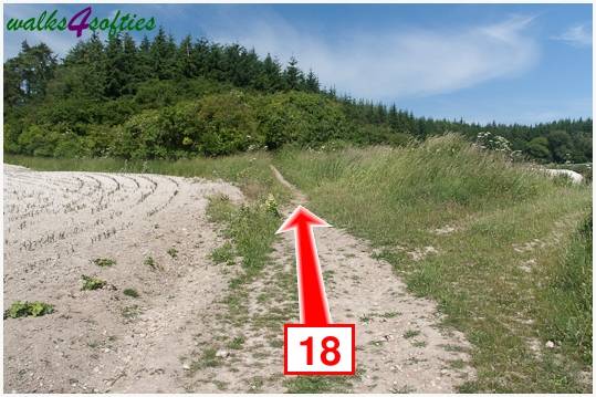 Walk direction photograph: 18 for walk Turners Puddle and Kite Hill, Bere Regis, Dorset, South West England.