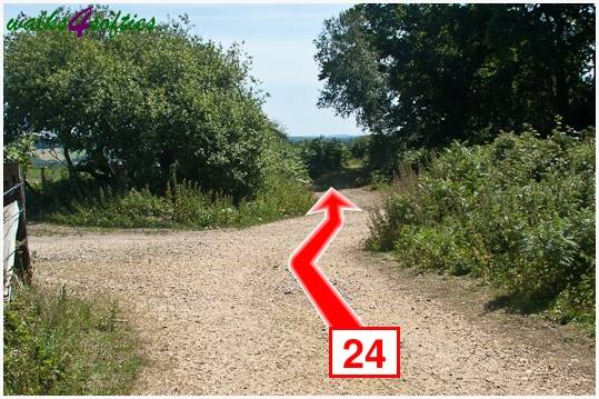 Walk direction photograph: 24 for walk Turners Puddle and Kite Hill, Bere Regis, Dorset, South West England.