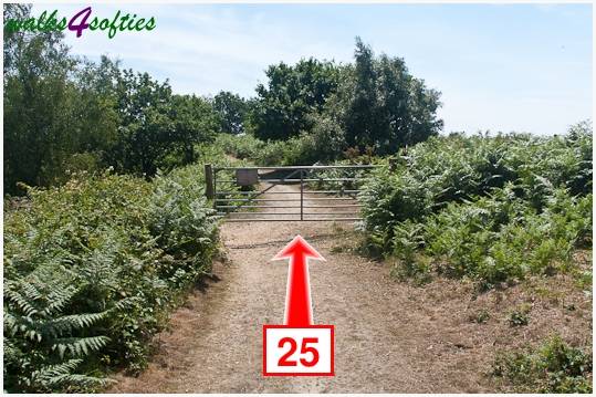 Walking direction photo: 25 for walk Turners Puddle and Kite Hill, Bere Regis, Dorset.