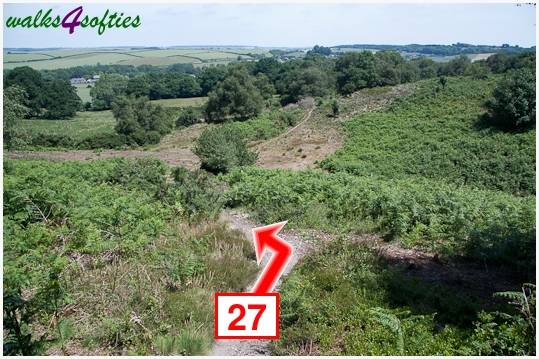 Walking direction photo: 27 for walk Turners Puddle and Kite Hill, Bere Regis, Dorset.