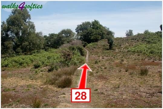 Walk direction photograph: 28 for walk Turners Puddle and Kite Hill, Bere Regis, Dorset, South West England.