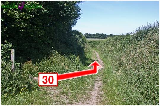 Walk direction photograph: 30 for walk Turners Puddle and Kite Hill, Bere Regis, Dorset, South West England.