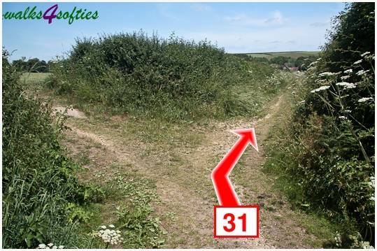 Walking direction photo: 31 for walk Turners Puddle and Kite Hill, Bere Regis, Dorset.