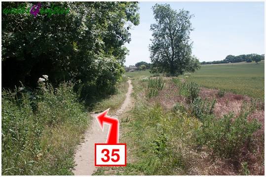 Walking direction photo: 35 for walk Turners Puddle and Kite Hill, Bere Regis, Dorset.