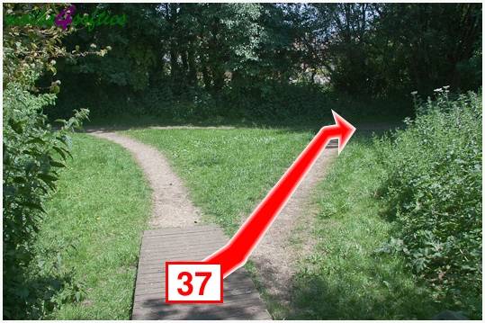 Walking direction photo: 37 for walk Turners Puddle and Kite Hill, Bere Regis, Dorset.