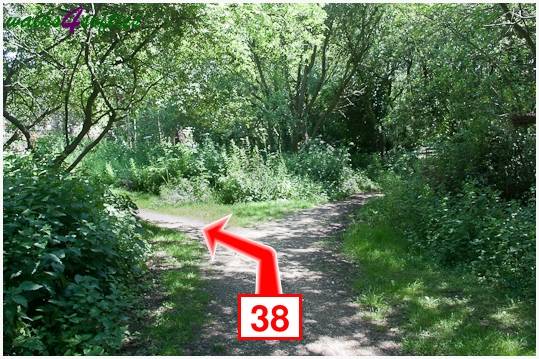 Walk direction photograph: 38 for walk Turners Puddle and Kite Hill, Bere Regis, Dorset, South West England.