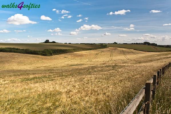 Picture, Photo, View of Tolpuddle, Dorset