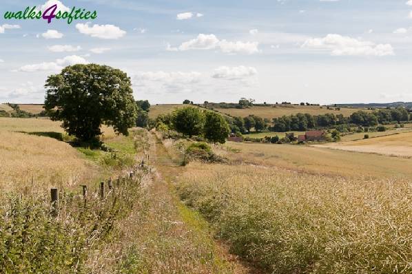 Picture, Photo, View of Tolpuddle, Dorset