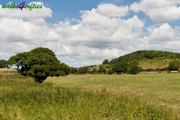Picture, Photo, View of Tolpuddle, Dorset